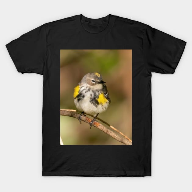 Yellow Rumped Warbler T-Shirt by BirdsnStuff